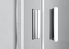 Corner Entry Shower Door NAO1142