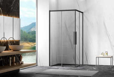 Shower Door NNY1142A-8