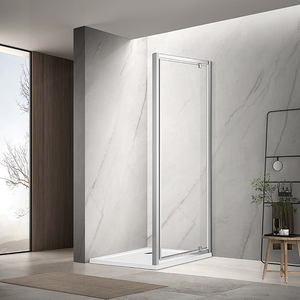 Pivot Door NAA6211