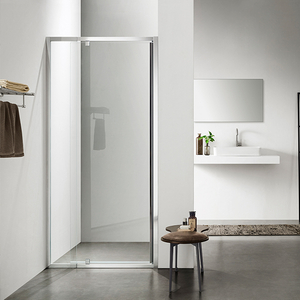 Pivot Door NAA6221