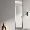 Shower Door NAO6211