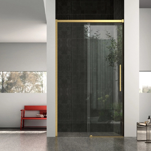 Shower Door NNY6121-A